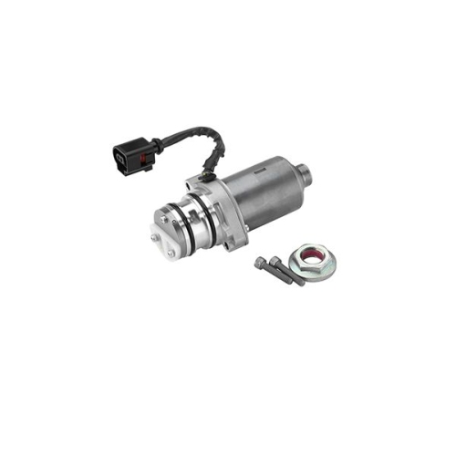 Pumpe, Lamellenkupplung-Allradantrieb BorgWarner (AWD) DS119863 Gen IV FORD