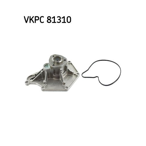 1 Water Pump, engine cooling SKF VKPC 81310 AUDI PORSCHE SEAT SKODA VW