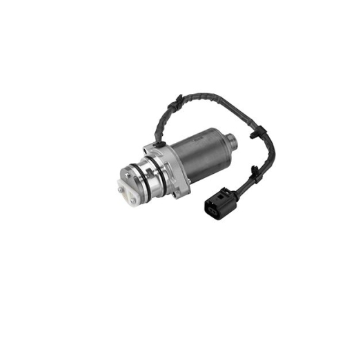 Pumpe, Lamellenkupplung-Allradantrieb BorgWarner (AWD) DS119866 Gen IV VW