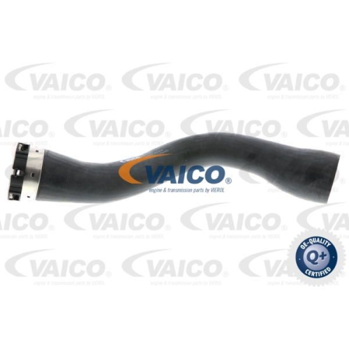 Charger Air Hose VAICO V40-1444 Q+, original equipment manufacturer quality OPEL