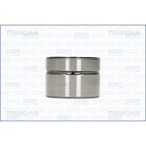 Ventilstößel TRISCAN 80-10002 FIAT