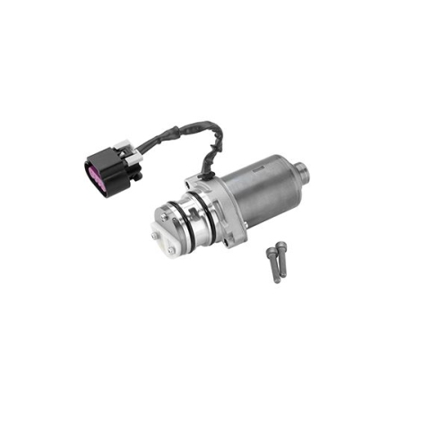 Pumpe, Lamellenkupplung-Allradantrieb BorgWarner (AWD) DS120878 Gen IV OPEL SAAB