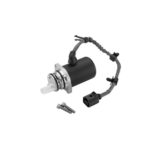 Pumpe, Lamellenkupplung-Allradantrieb BorgWarner (AWD) DS118613 Gen II AUDI SEAT