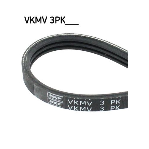 1 V-Ribbed Belt SKF VKMV 3PK828 FORD