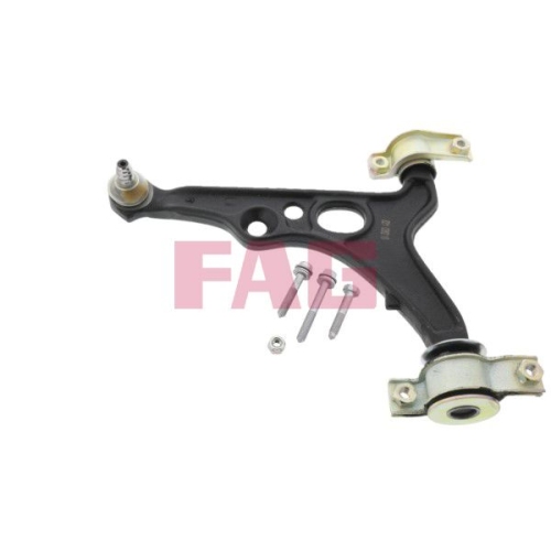 1 Control/Trailing Arm, wheel suspension FAG 821 0362 10 FIAT