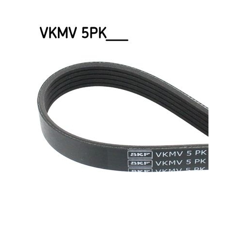 1 V-Ribbed Belt SKF VKMV 5PK672 FORD
