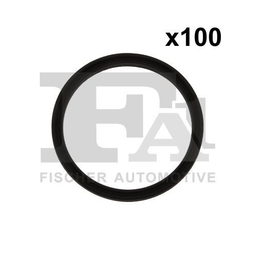 100 Seal Ring FA1 076.741.100 BMW