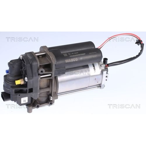 Kompressor, Druckluftanlage TRISCAN 8725 81101 TESLA