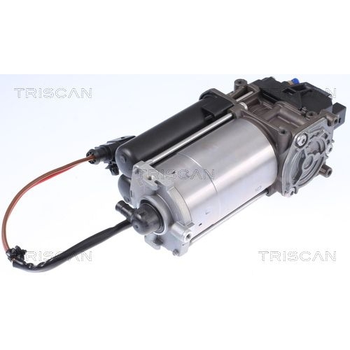 1 Compressor, compressed air system TRISCAN 8725 81101 TESLA
