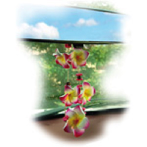 AIRFLAIR Air Freshener Fragrance Tree Car Fragrance Flower Chain Tropical AZLUF703
